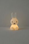 Thumbnail View 1: Miffy Small Bundle Of Light Nightlight