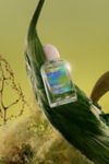 Thumbnail View 3: Future Society Eau De Parfum Fragrance