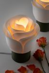 Thumbnail View 1: Honey & Ivy Rose Table Lamp