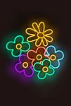 Thumbnail View 1: Echo Neon Daisy and Flower Neon Sign