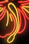 Thumbnail View 4: Echo Neon Hibiscus Flower Neon Sign