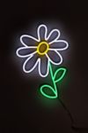 Thumbnail View 3: Echo Neon Daisy Neon Sign