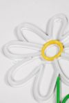 Thumbnail View 4: Echo Neon Daisy Neon Sign