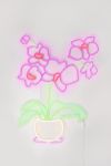 Thumbnail View 4: Echo Neon Orchid Neon Sign