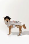 Thumbnail View 2: Silver Paw Showman Dog Costume