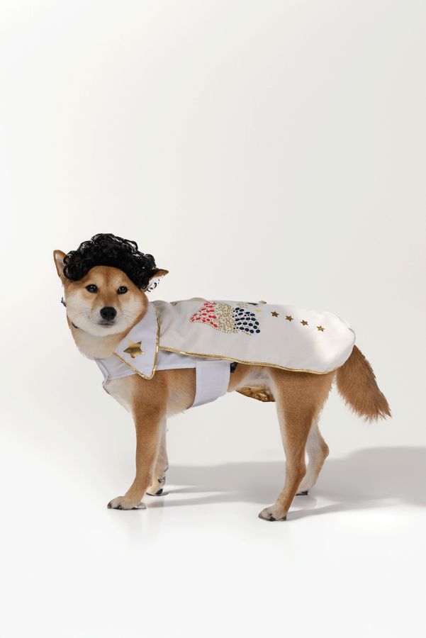 Slide View: 2: Silver Paw Showman Dog Costume