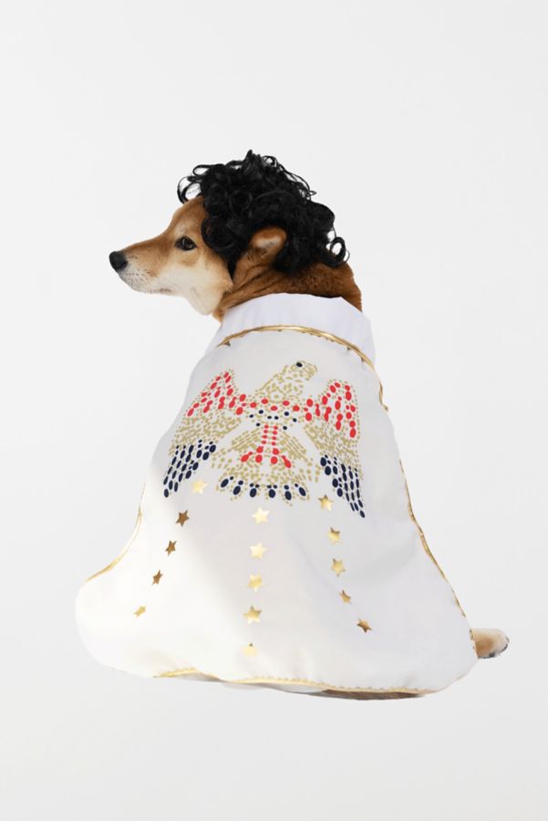 Slide View: 1: Silver Paw Showman Dog Costume