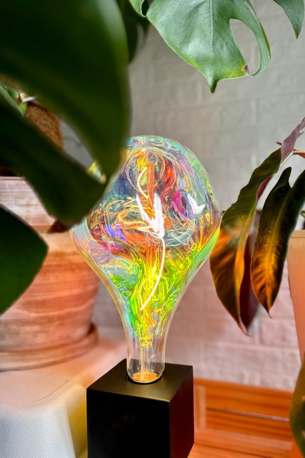 Slide View: 4: Echo Neon Gem LED Filament Lamp