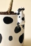 Thumbnail View 2: Moo Peeking Cow Ceramic Planter