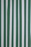 Thumbnail View 2: Honor And Obey For Deny Original Forest Green And White Trent Stripe Shower Curtain