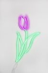 Thumbnail View 4: Echo Neon Tulip Neon Sign