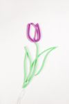 Thumbnail View 5: Echo Neon Tulip Neon Sign