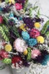 Thumbnail View 3: Roxanne’s Dried Flowers Candy Pop Arrangement