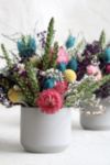 Thumbnail View 1: Roxanne’s Dried Flowers Candy Pop Arrangement