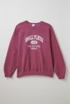 Thumbnail View 2: Small Plates Varsity Graphic Crew Neck Sweatshirt