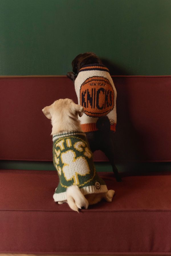 Slide View: 2: Little Beast NBA Pet Sweater