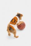 Thumbnail View 1: Little Beast NBA Pet Sweater