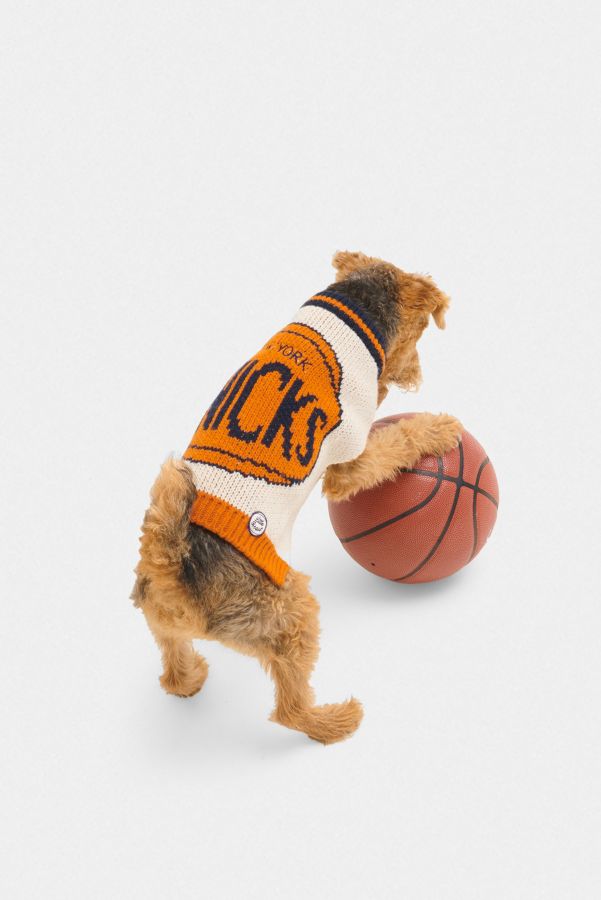 Slide View: 1: Little Beast NBA Pet Sweater