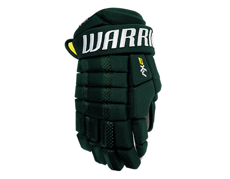 Dynasty AX2 Sr. Glove, Forest Green image number 0