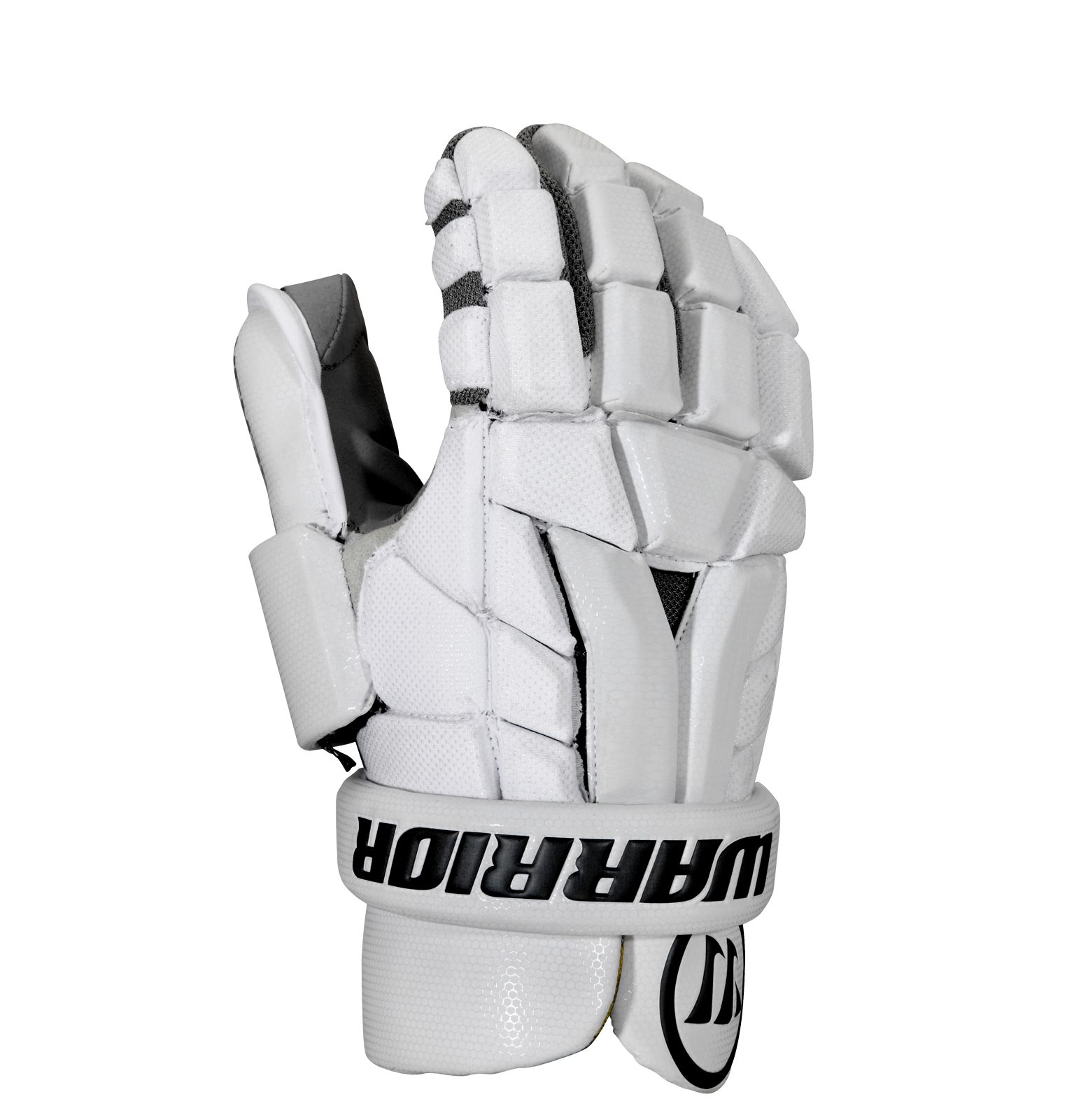 NEMESIS GOALIE GLOVE, White image number 0