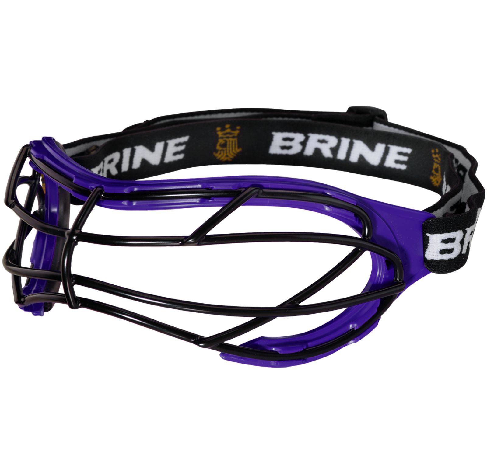 Dynasty II Goggle, Purple image number 0