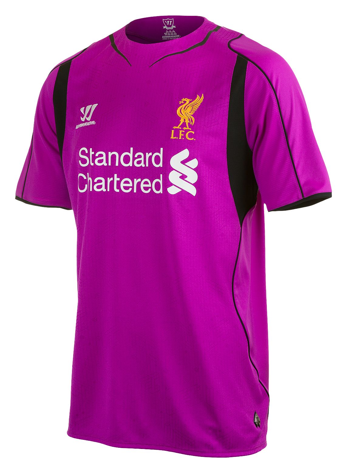 Liverpool Home Goal Keeper S/S Jersey 2014/15, Purple image number 1
