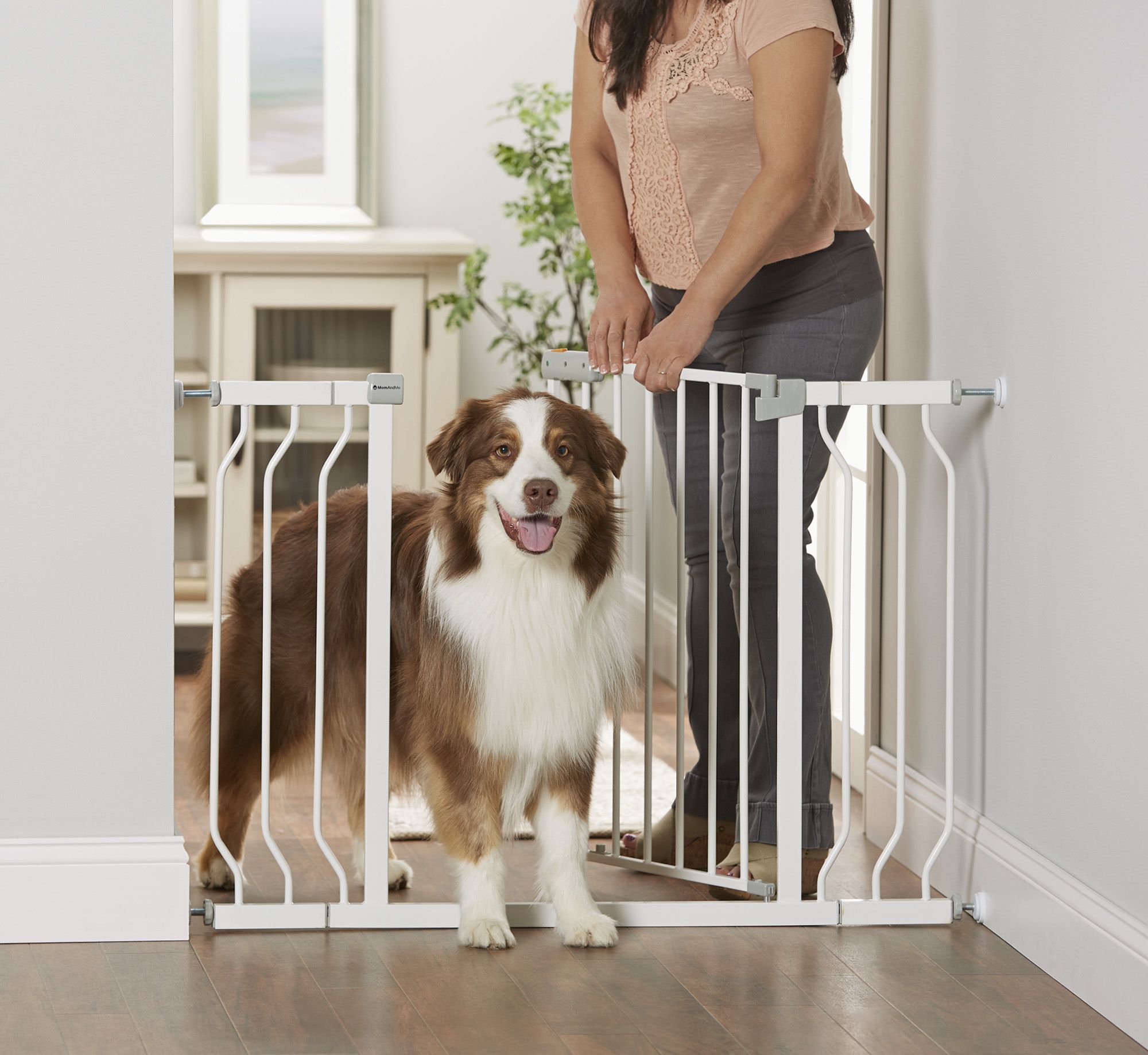 Alcove Adjustable Pet Gate With FREE Alcove RollUp Waterproof Pet Bed