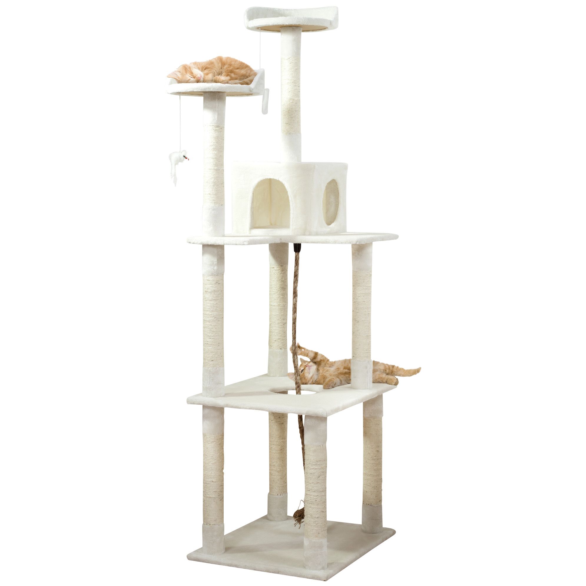 6 foot hot sale cat tree