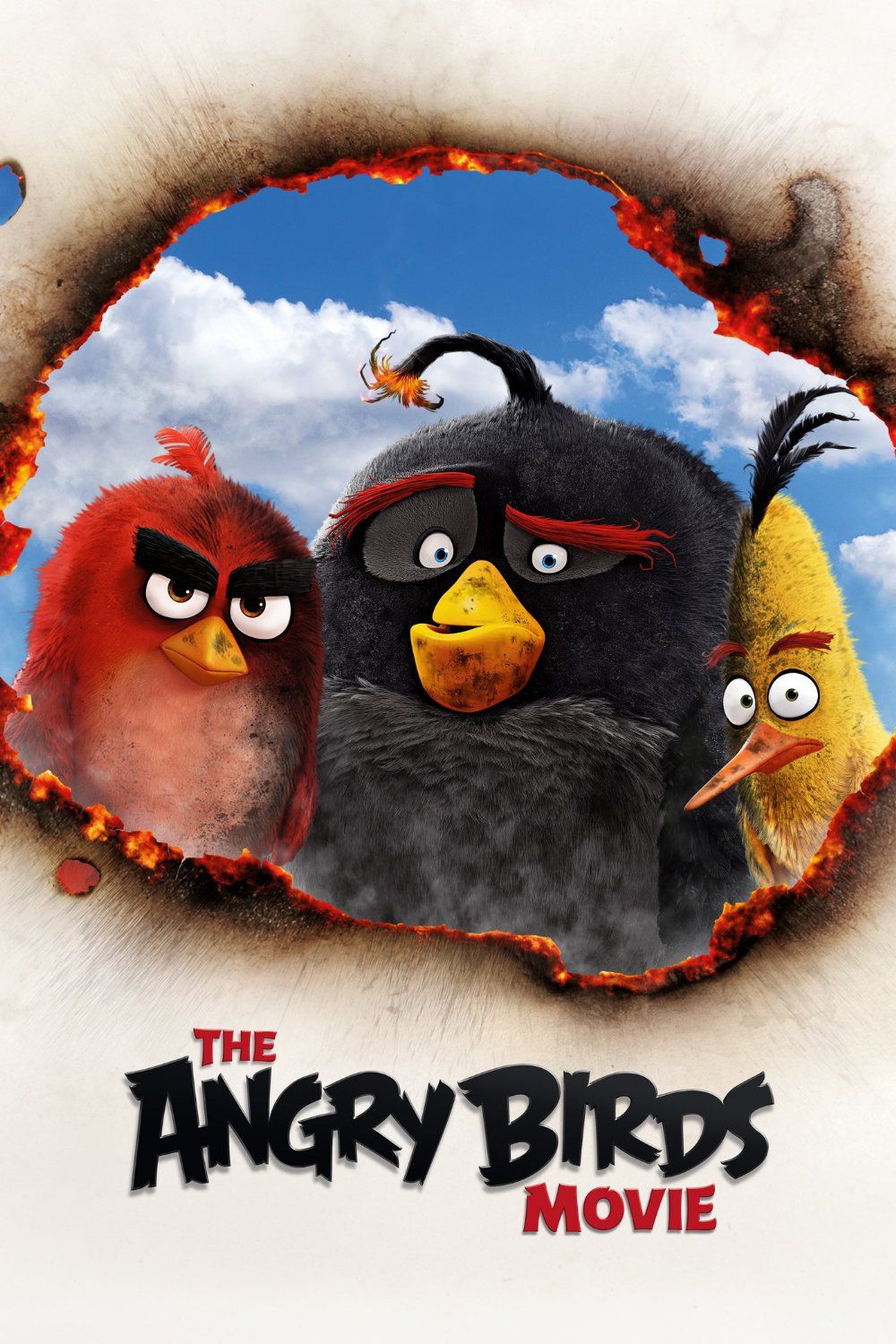 Fingerhut Dvd The Angry Birds Movie