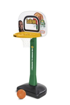 lebron james basketball hoop