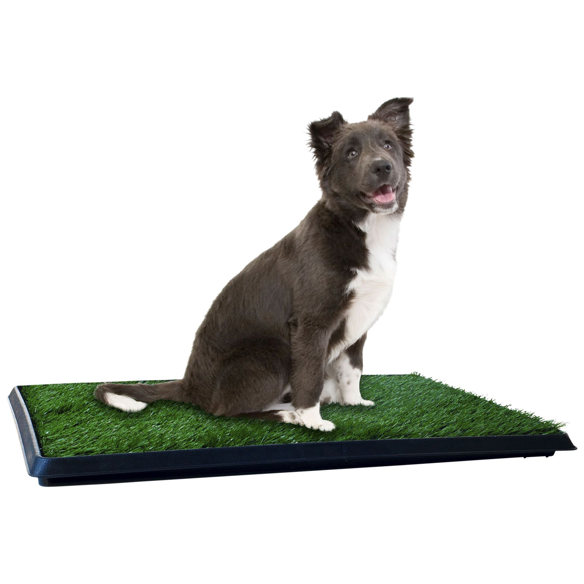 Petmaker puppy potty discount trainer