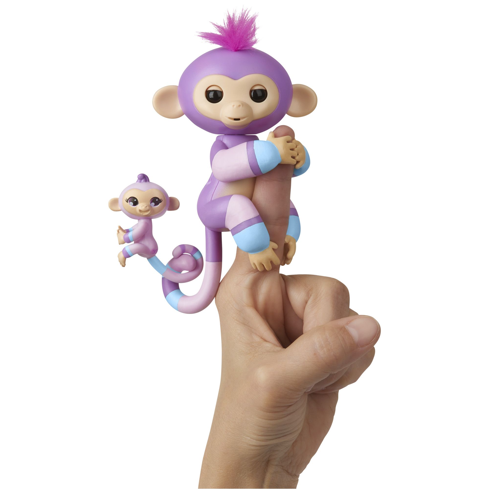 Fingerlings store with baby