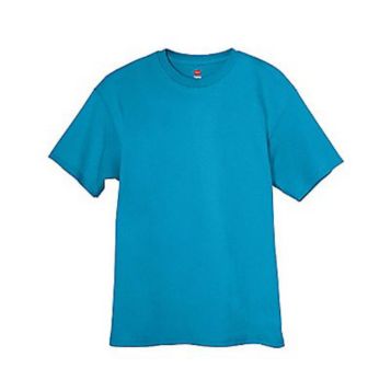 Hanes Men's TAGLESS T-Shirt