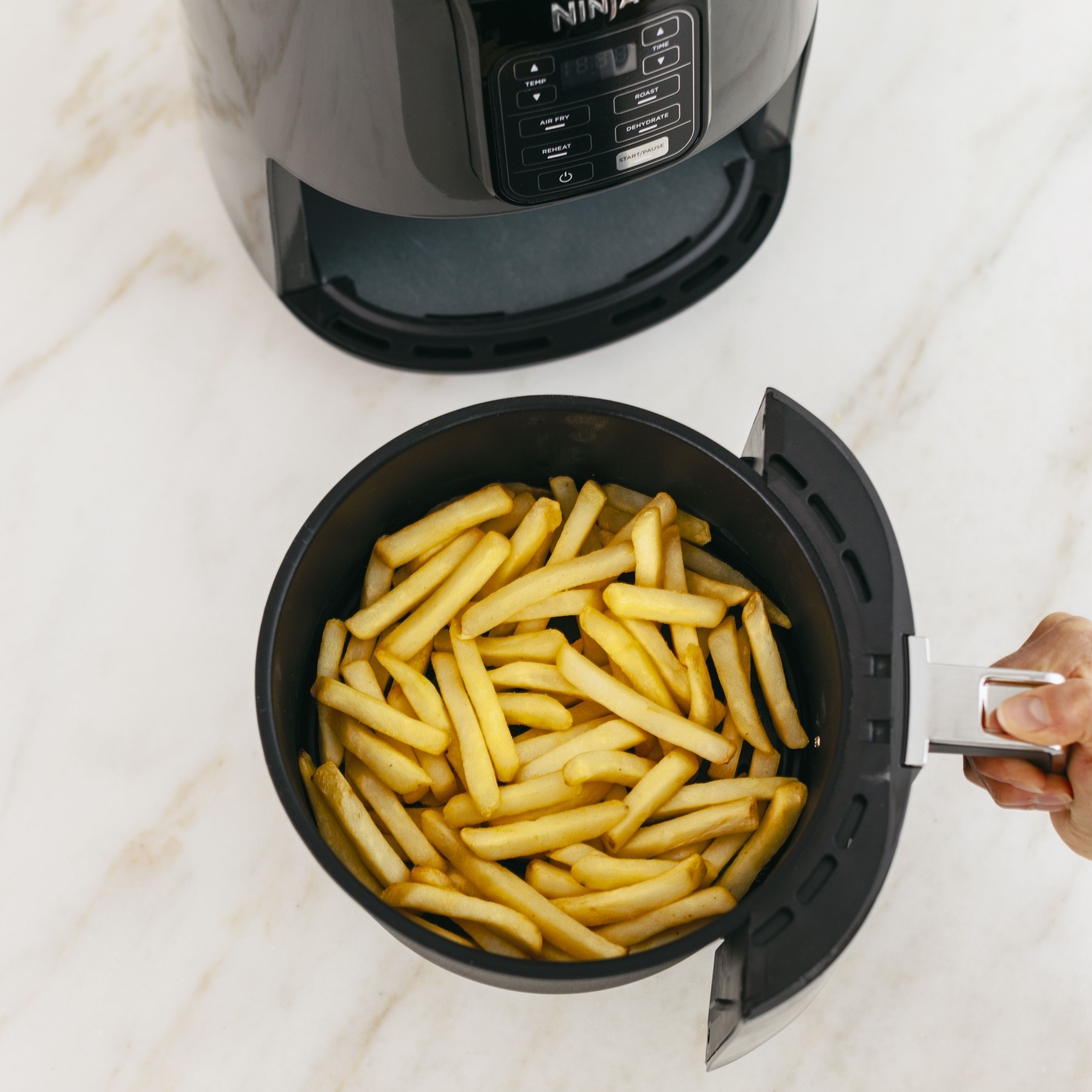 Ninja AF101 Air Fryer Review: Best Ninja Air Fryer Under $100 For Family of  4 