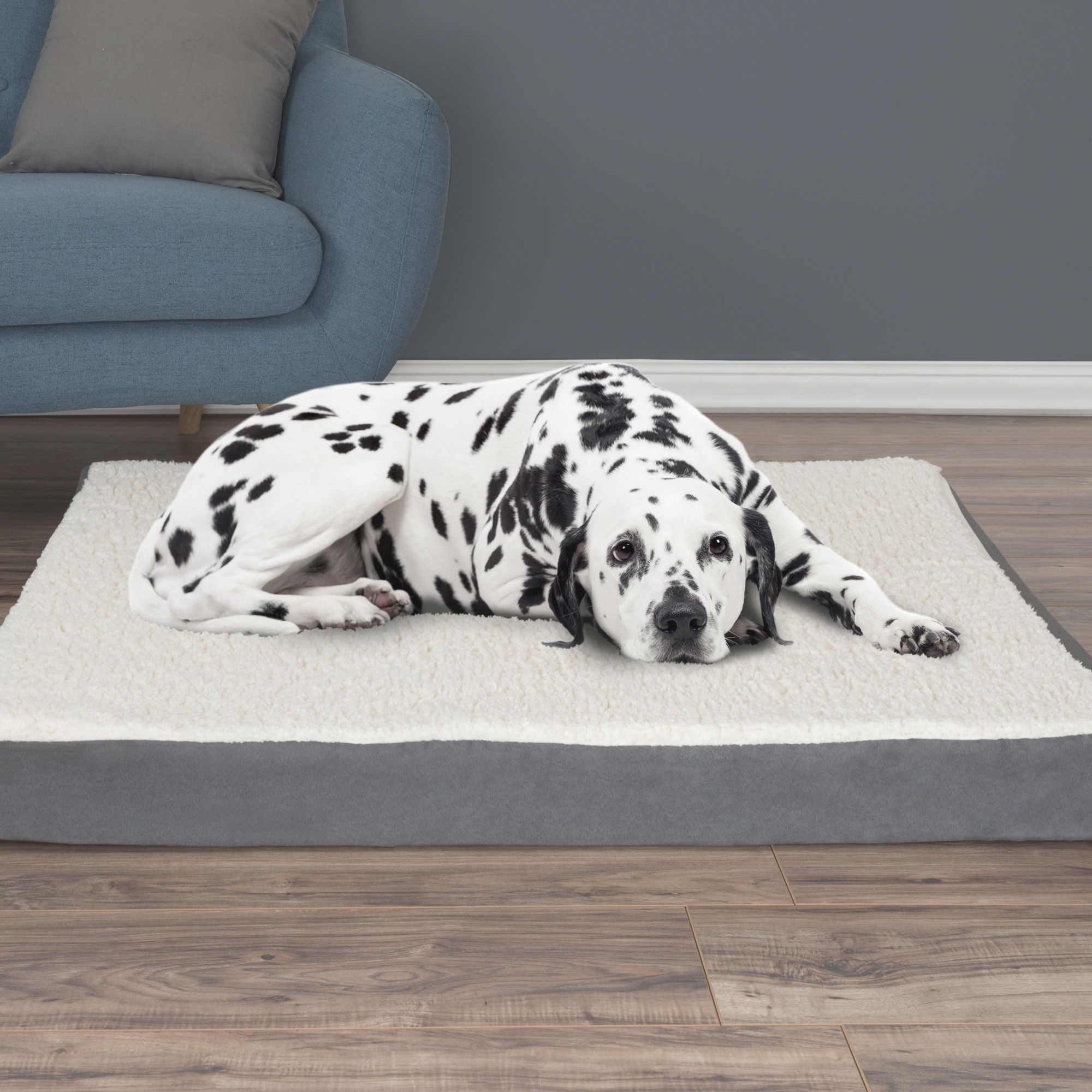 Petmaker memory foam dog clearance bed