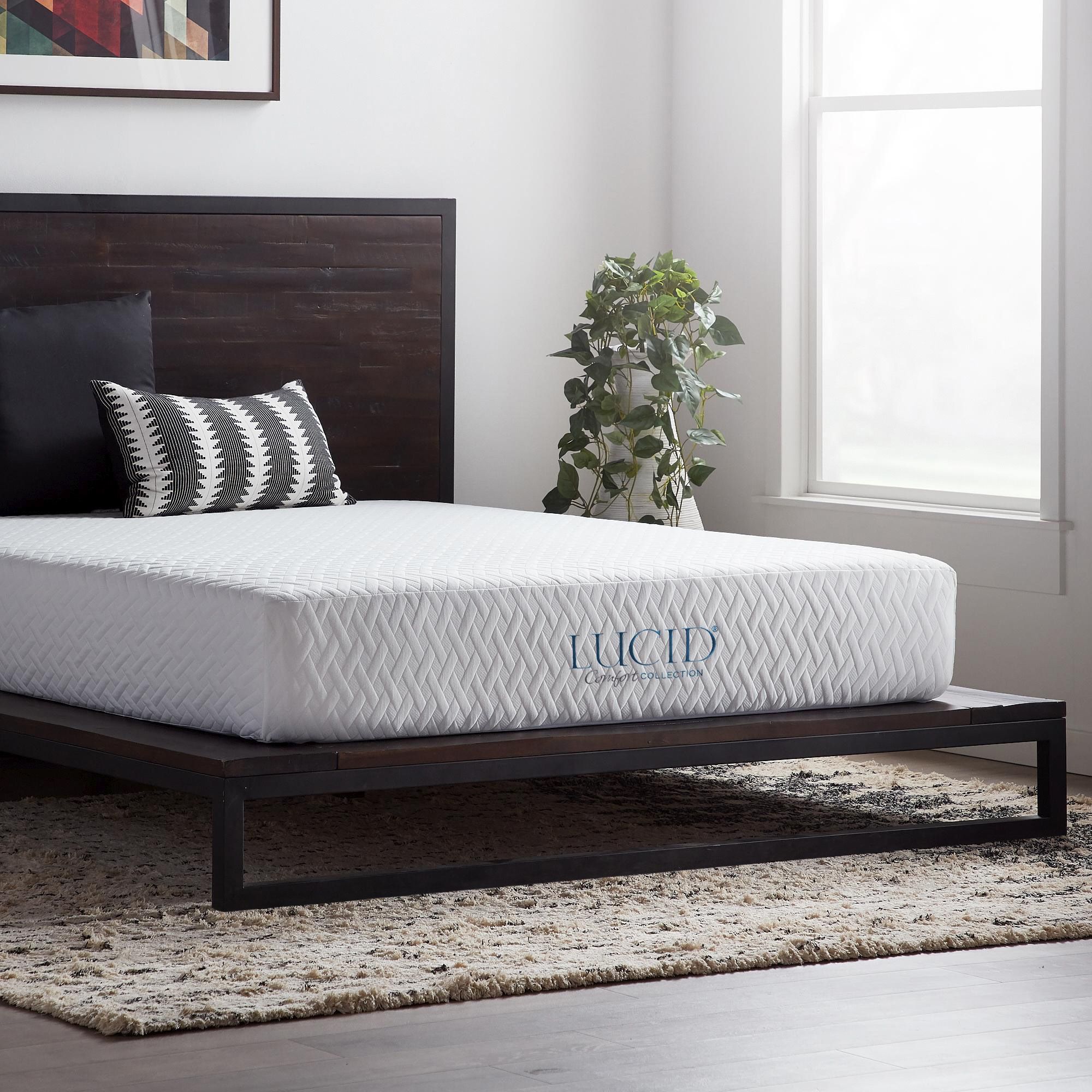 LUCID Comfort Collection SureCool 10-in Firm Queen Memory Foam Mattress in  a Box