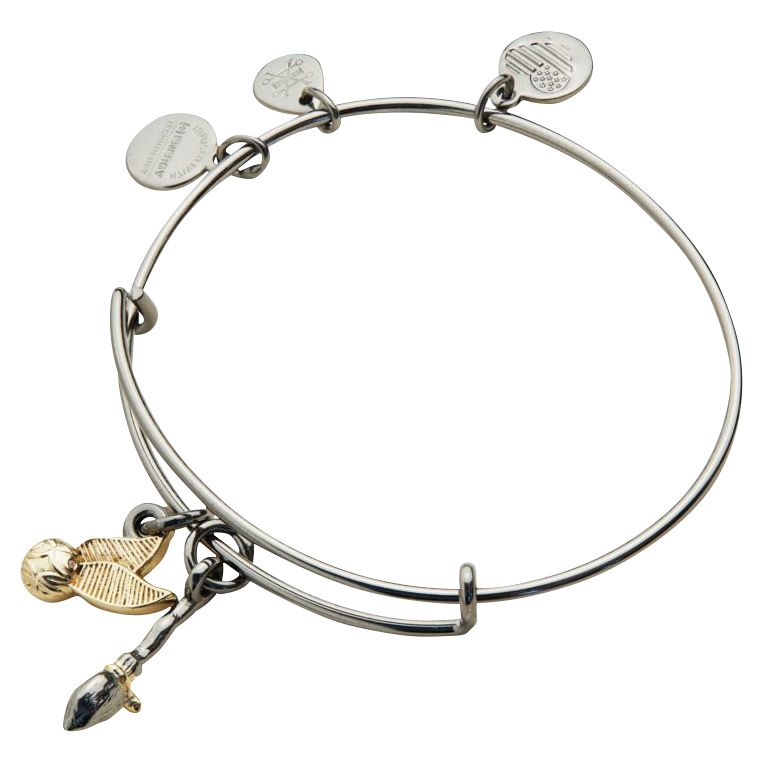 Alex & ani hot sale harry potter bracelet