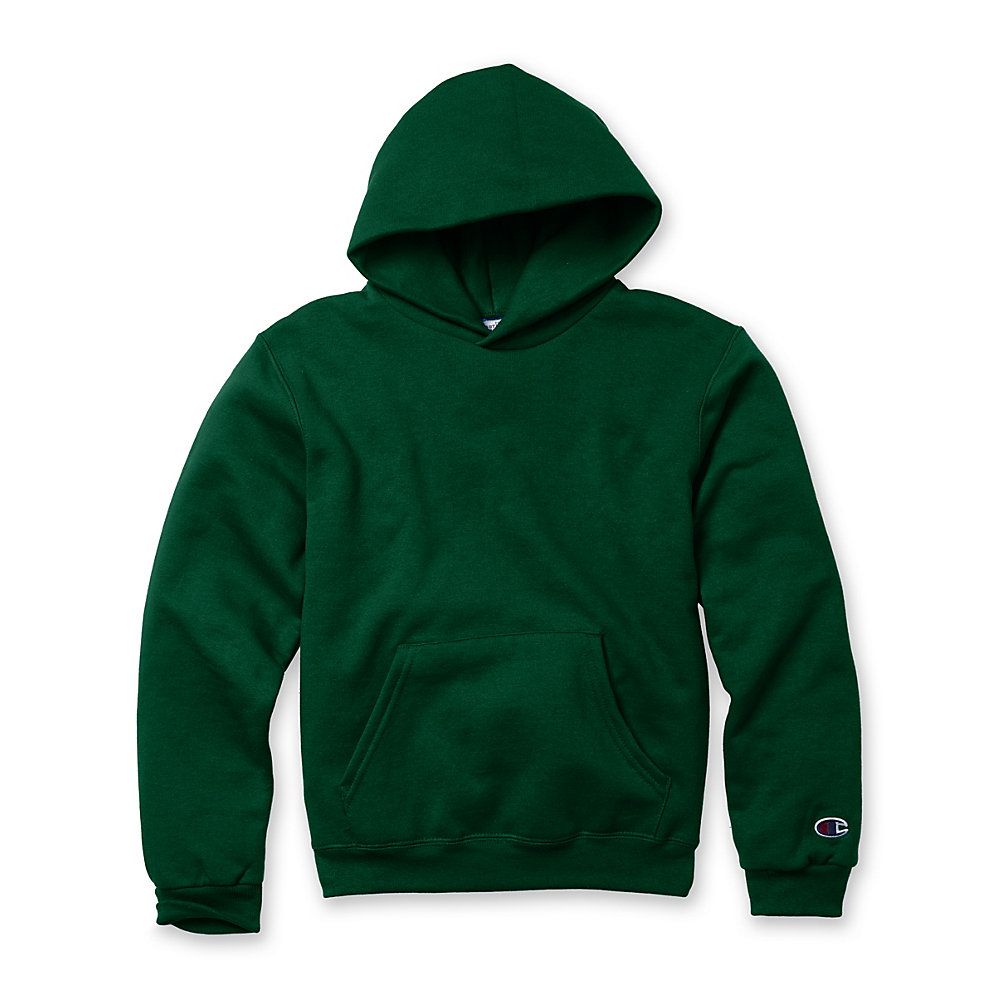 Champion double dry on sale action fleece pullover hood