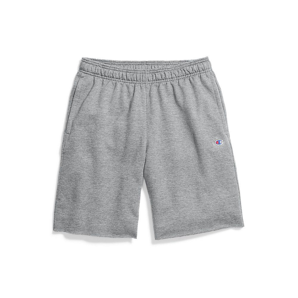 Champion men's graphic hot sale powerblend fleece shorts