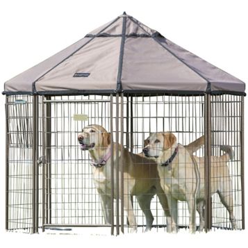 Gazebo hot sale dog kennel