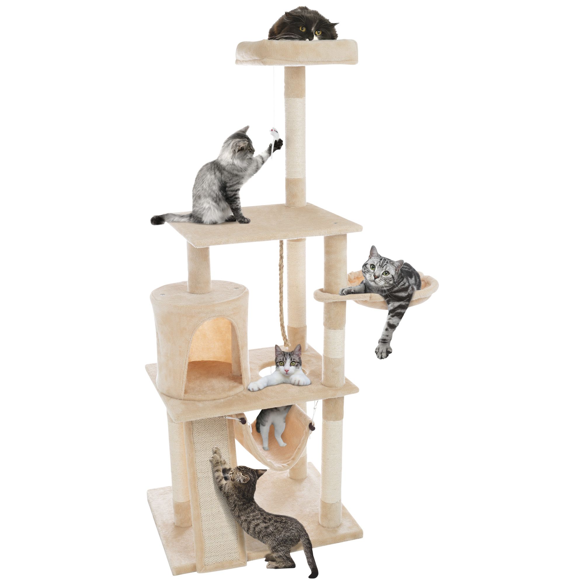 Ultimate best sale cat condo