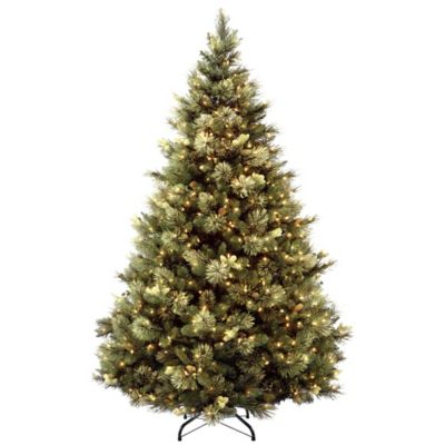 Fingerhut Christmas Catalog 2022 Fingerhut Christmas