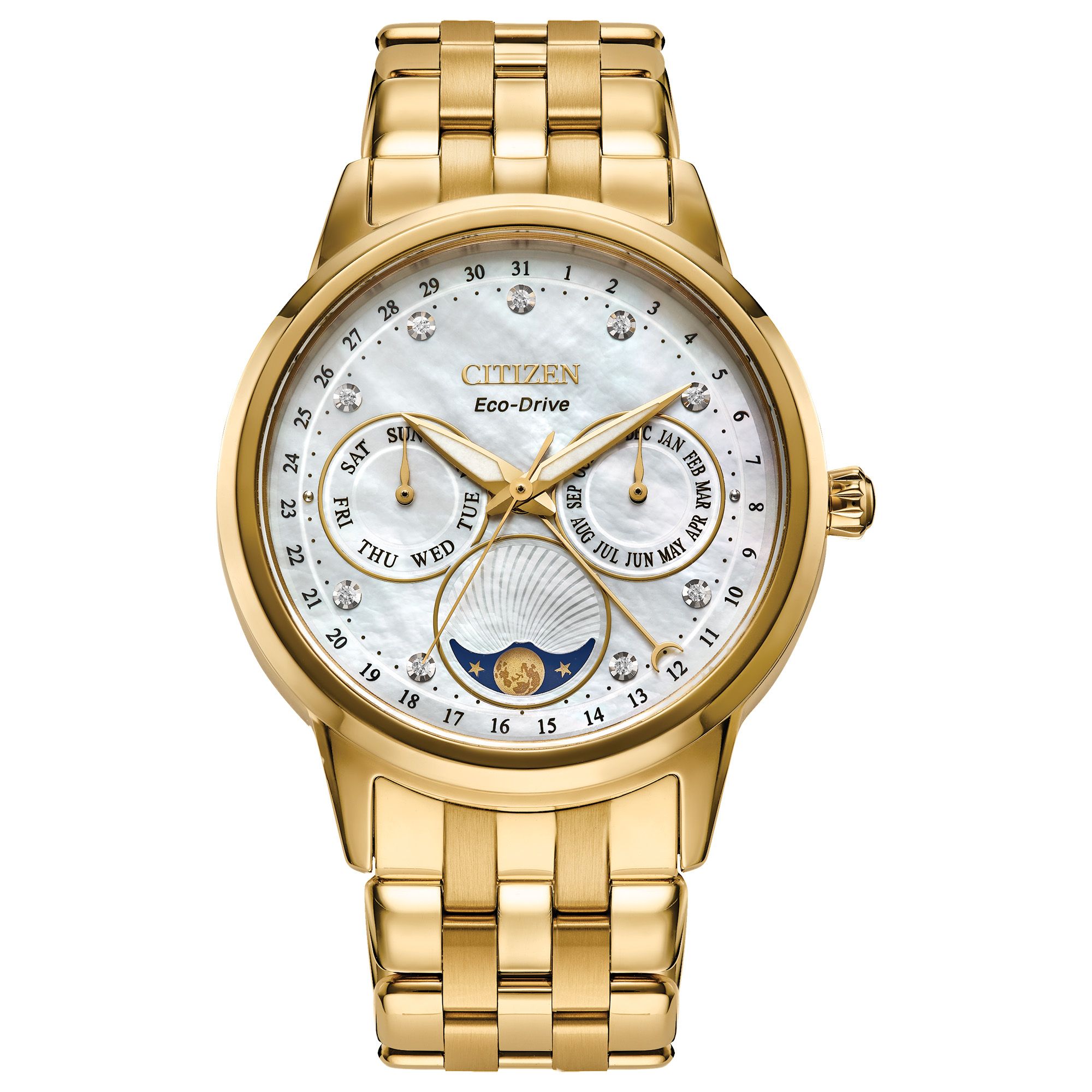 citizen day date month watch