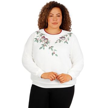 Alfred dunner 2024 women's sweaters