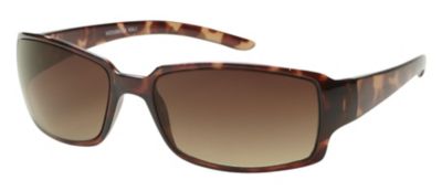 us sunglasses brands