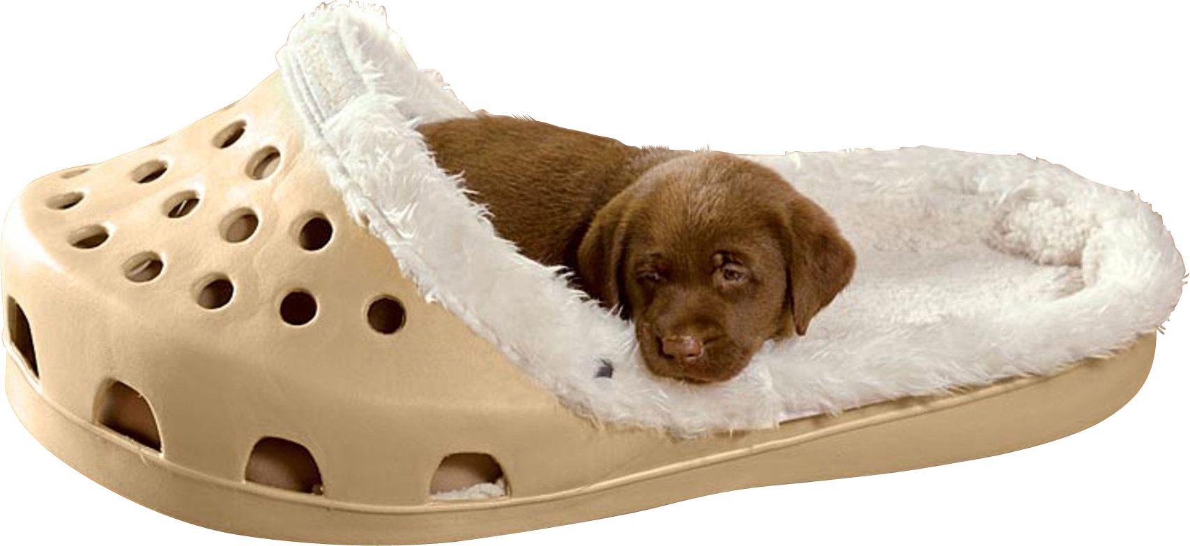 Sasquatch on sale pet bed