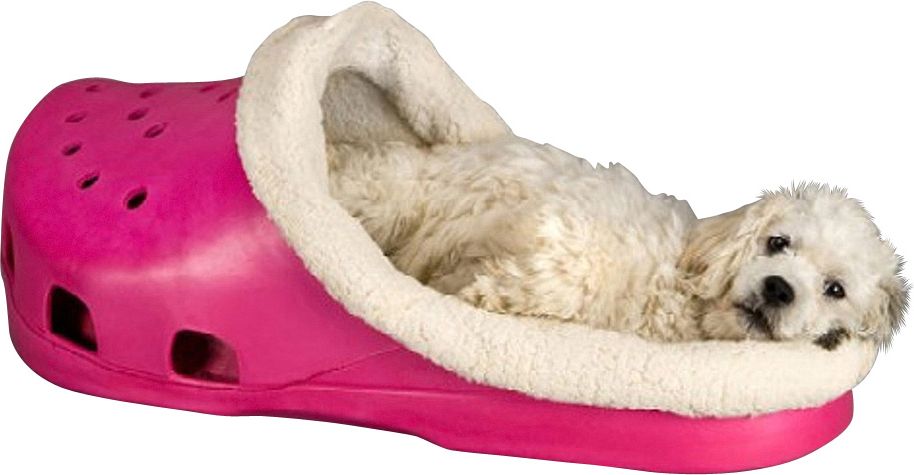 Sasquatch hotsell pet bed