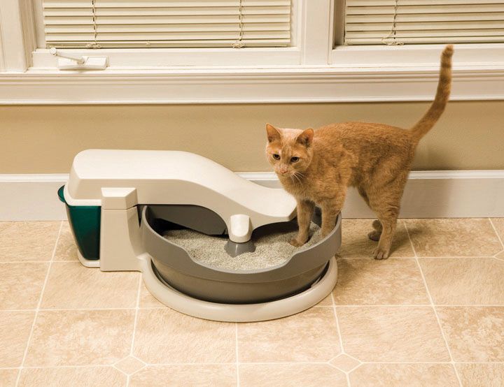 Simply clean automatic shop litter box system