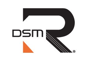 ļ ø DSMR? 