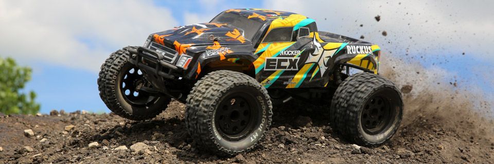 1/10 Ruckus 2WD Monster Truck RTR